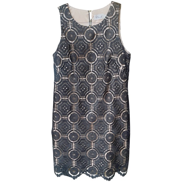 Eliza J Black Lace Shift Dress - Sleeveless Crew Neck Event - Size 10P - Petite - Picture 2 of 15